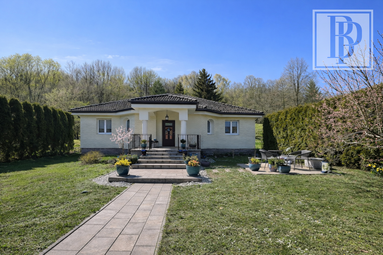 1BF8F2EB-8BB1-4ECA-839C-A1B92BE8E71B (Large)